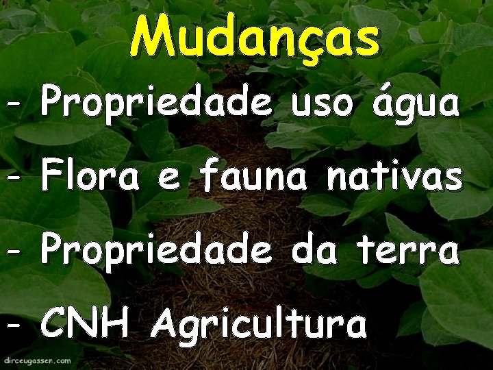 Mudanças - Propriedade uso água - Flora e fauna nativas - Propriedade da terra