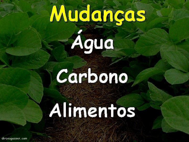 Mudanças Água Carbono Alimentos 