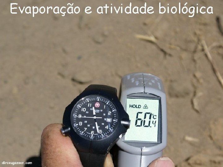 Evaporação e atividade biológica 