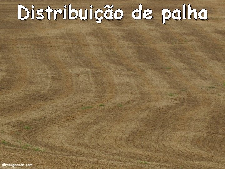 Distribuição de palha 