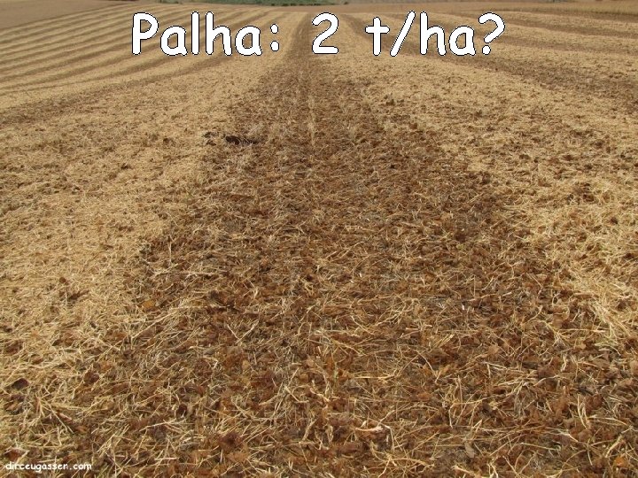 Palha: 2 t/ha? 32 