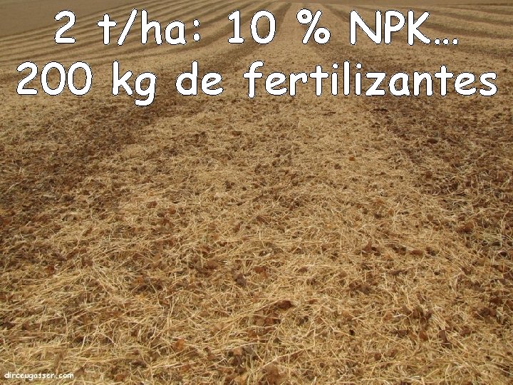 2 t/ha: 10 % NPK… 200 kg de fertilizantes 33 