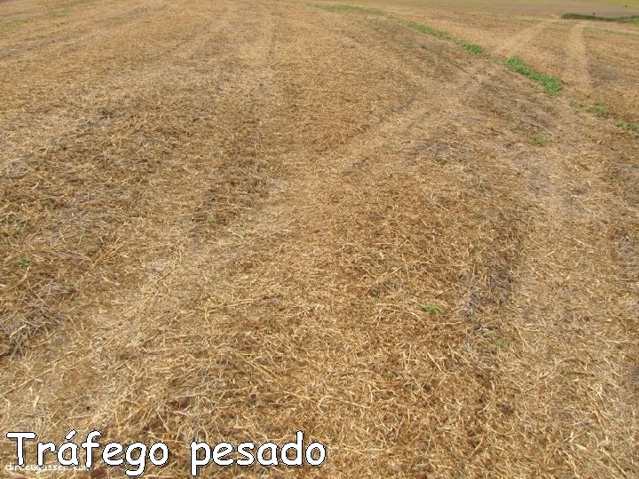 Tráfego pesado 