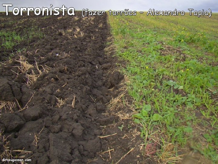 Torronista (fazer torrões – Alexandro Tapia) 