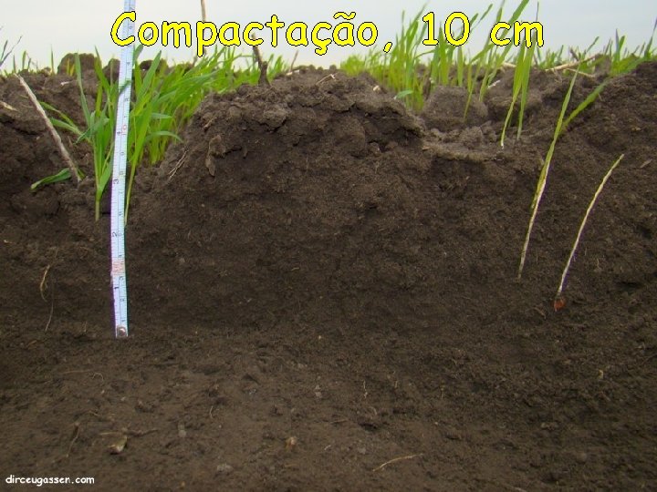 Compactação, 10 cm 