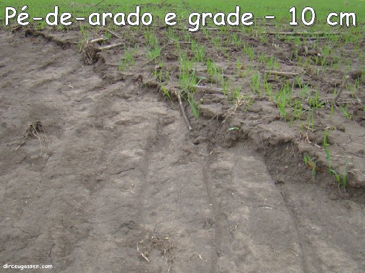 Pé-de-arado e grade – 10 cm Pé-de-arado e grade – 10 cm