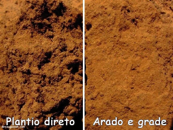Plantio direto Arado e grade Plantio direto Arado e grade