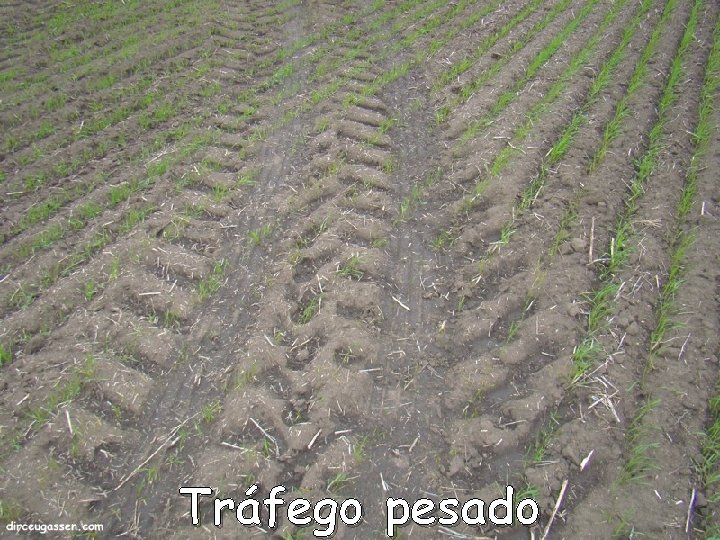 Tráfego pesado Tráfego pesado