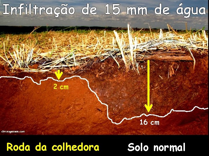 Infiltração de 15 mm de água 2 cm 16 cm Roda da colhedora Solo Infiltração de 15 mm de água 2 cm 16 cm Roda da colhedora Solo