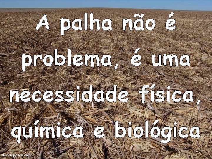 A palha não é problema, é uma necessidade física, química e biológica 