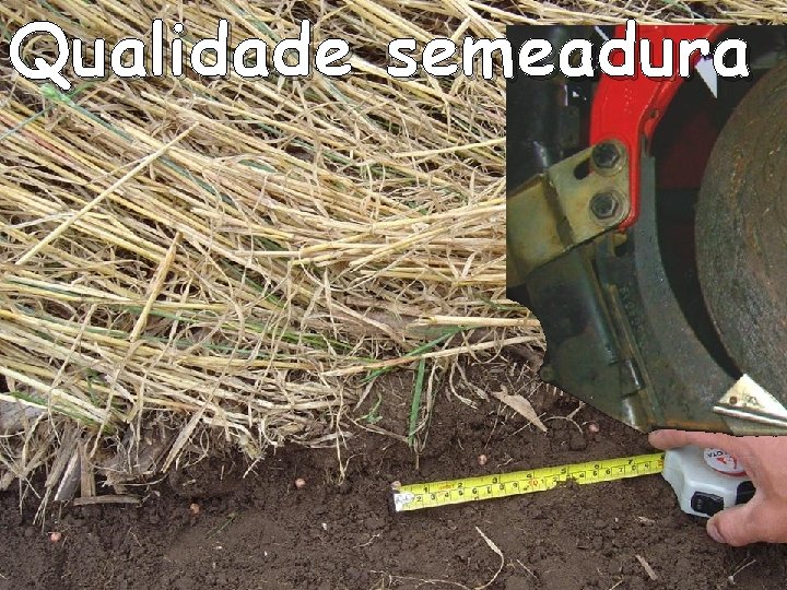 Qualidade semeadura 