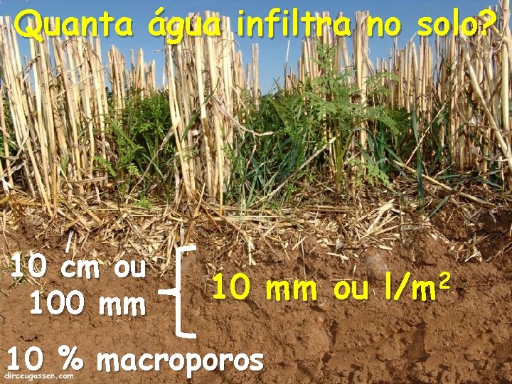 Quanta água infiltra no solo? 10 cm ou 100 mm 10 mm ou 10
