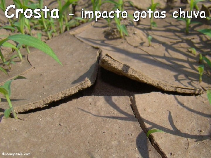 Crosta - impacto gotas chuva 