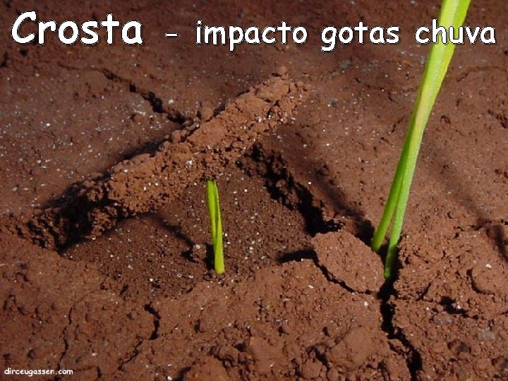 Crosta - impacto gotas chuva 