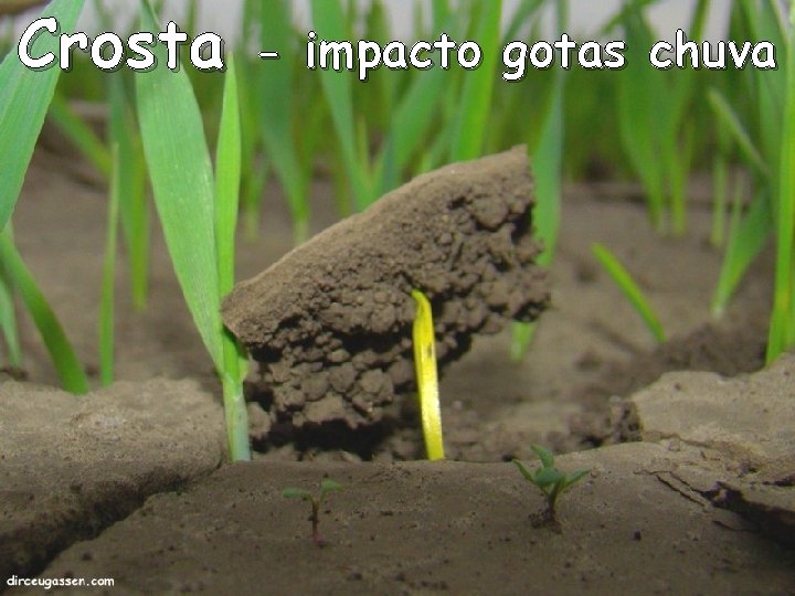 Crosta - impacto gotas chuva Crosta - impacto gotas chuva