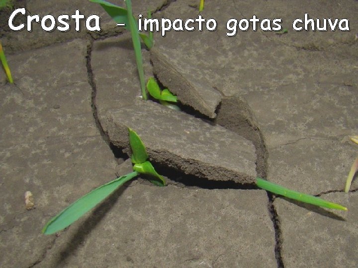 Crosta - impacto gotas chuva Crosta - impacto gotas chuva