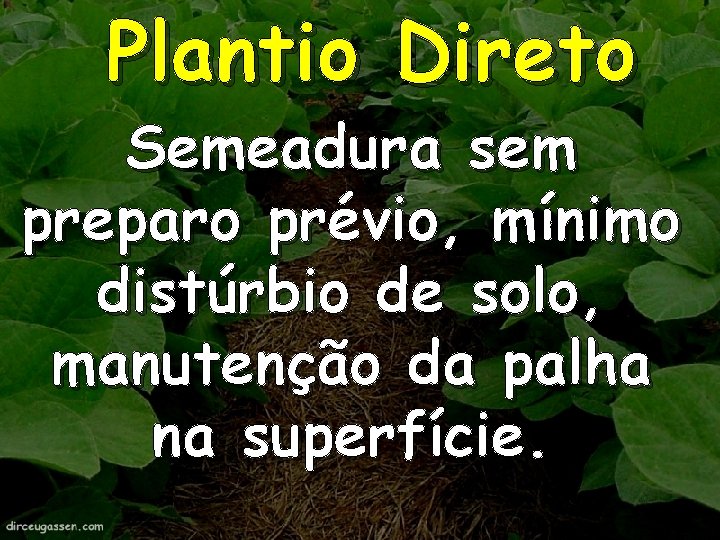 Plantio Direto Semeadura sem preparo prévio, mínimo distúrbio de solo, manutenção da palha na