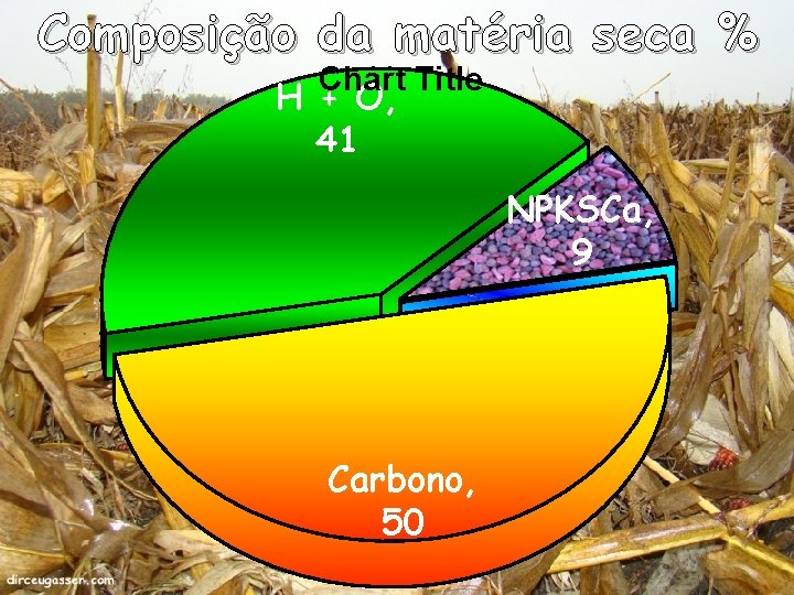 Composição da matéria seca % Chart Title H + O, 41 NPKSCa, 9 Carbono,