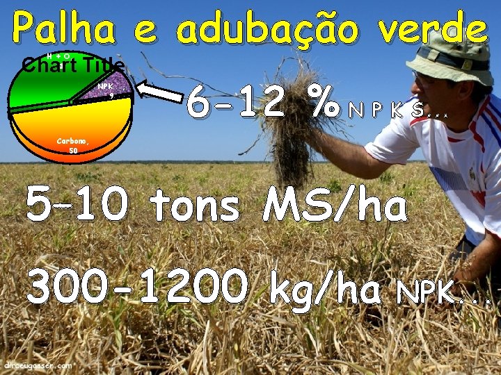 Palha e adubação verde H + O, 41 Chart Title NPK. . . ,