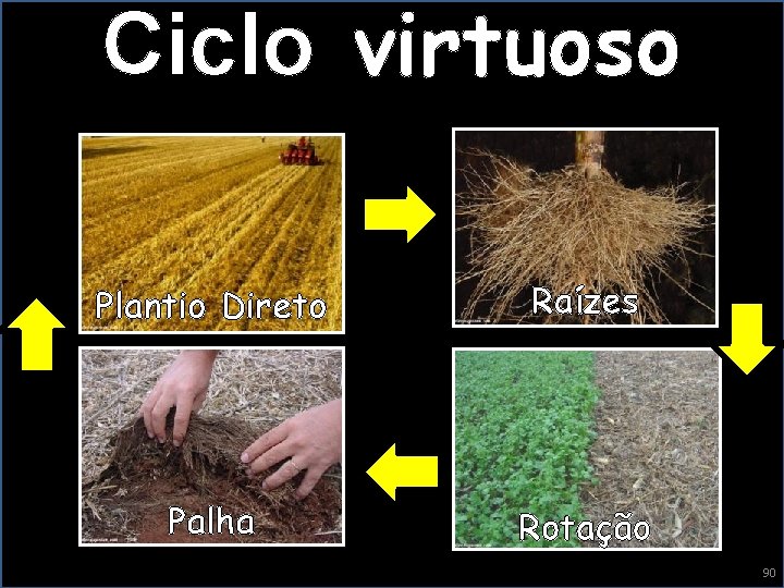 Ciclo virtuoso Plantio Direto Raízes Palha Rotação 90 