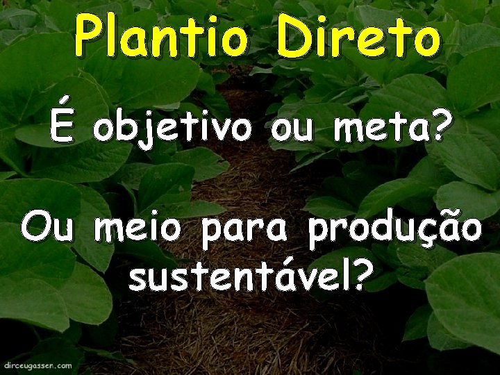 Plantio Direto É objetivo ou meta? Ou meio para produção sustentável? 