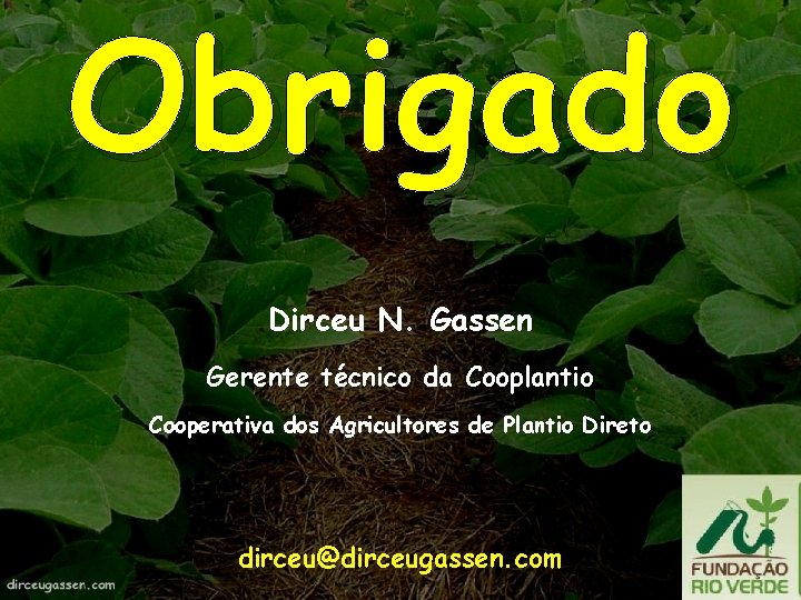 Obrigado Dirceu N. Gassen Gerente técnico da Cooplantio Cooperativa dos Agricultores de Plantio Direto