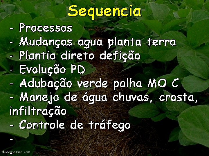 Sequencia - Processos - Mudanças agua planta terra - Plantio direto defição - Evolução