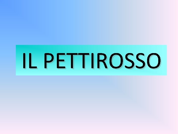 IL PETTIROSSO 