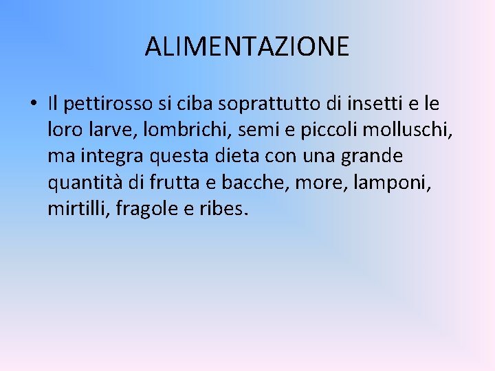 ALIMENTAZIONE • Il pettirosso si ciba soprattutto di insetti e le loro larve, lombrichi,