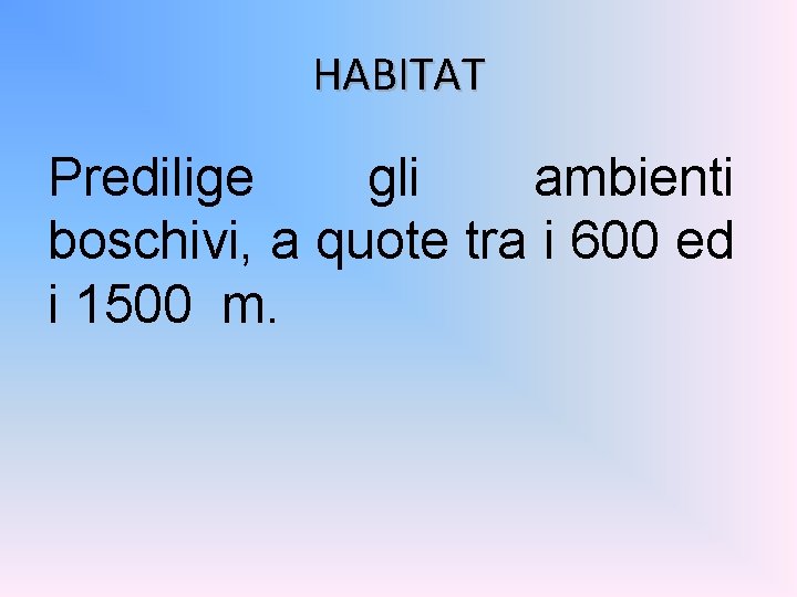 HABITAT Predilige gli ambienti boschivi, a quote tra i 600 ed i 1500 m.