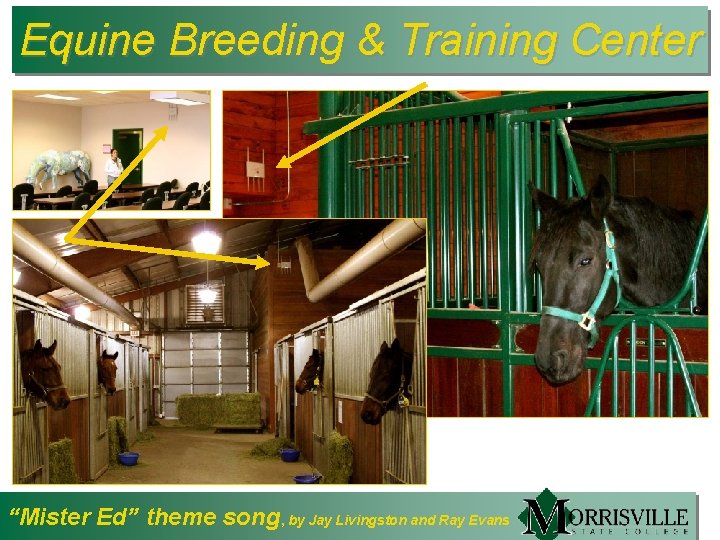 Equine Breeding & Training Center “Mister Ed” theme song, by Jay Livingston and Ray