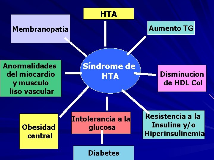 HTA Aumento TG Membranopatia Anormalidades del miocardio y musculo liso vascular Obesidad central Síndrome