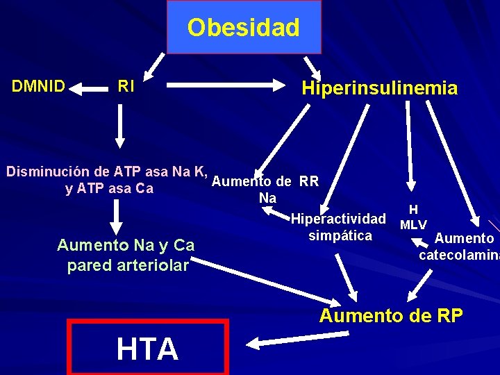 Obesidad DMNID RI Hiperinsulinemia Disminución de ATP asa Na K, Aumento de RR y