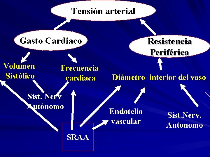 Tensión arterial Gasto Cardiaco Volumen Sistólico Frecuencia cardiaca Sist. Nerv Autónomo Resistencia Periférica Diámetro