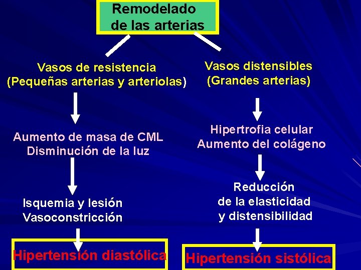 Remodelado de las arterias Vasos de resistencia (Pequeñas arterias y arteriolas) Aumento de masa