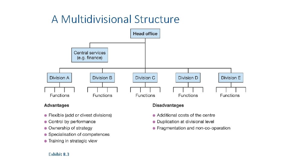 A Multidivisional Structure Exhibit 8. 3 