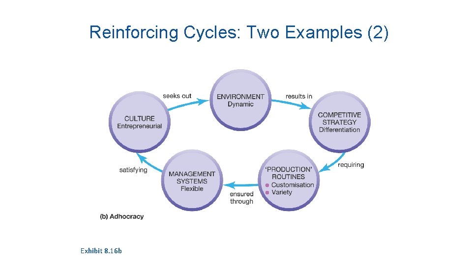 Reinforcing Cycles: Two Examples (2) Exhibit 8. 16 b 