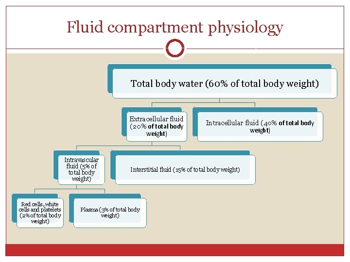 Fluid compartment physiology Total body water (60% of total body weight) Extracellular fluid (20%