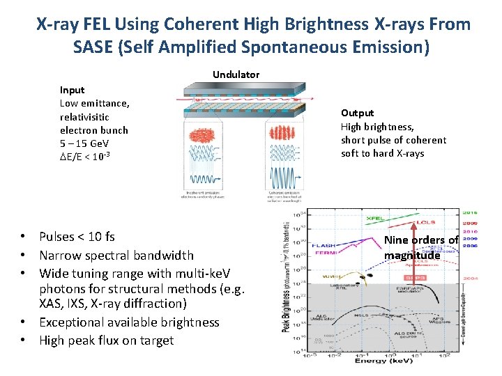 X-ray FEL Using Coherent High Brightness X-rays From SASE (Self Amplified Spontaneous Emission) Undulator