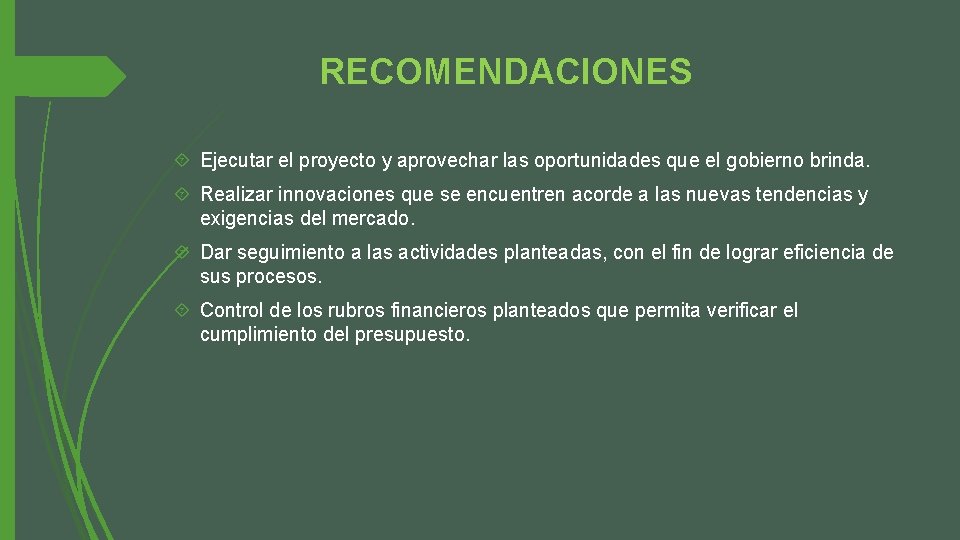 RECOMENDACIONES Ejecutar el proyecto y aprovechar las oportunidades que el gobierno brinda. Realizar innovaciones