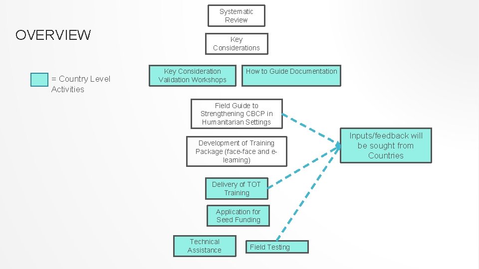 Systematic Review OVERVIEW = Country Level Activities Key Consideration Validation Workshops How to Guide