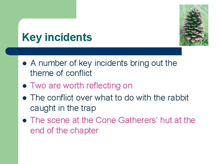 Key incidents l l A number of key incidents bring out theme of conflict