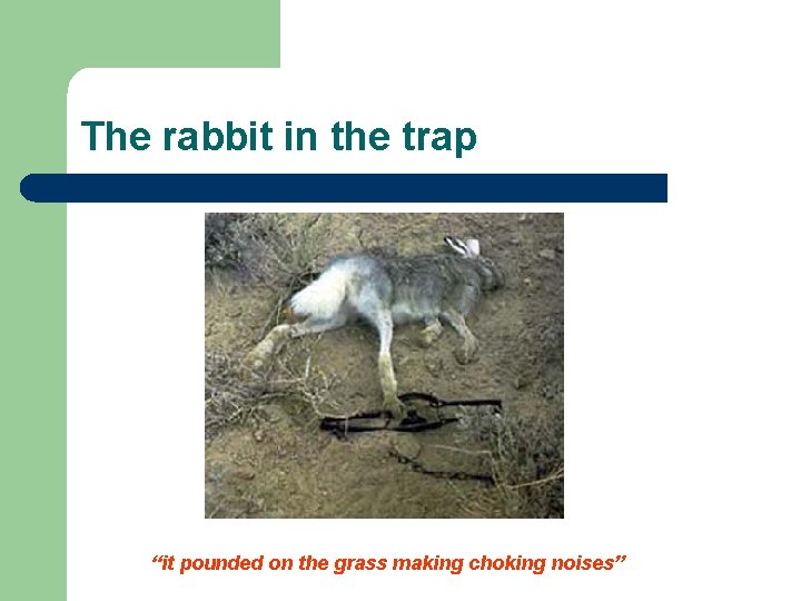 The rabbit in the trap “it pounded on the grass making choking noises” 