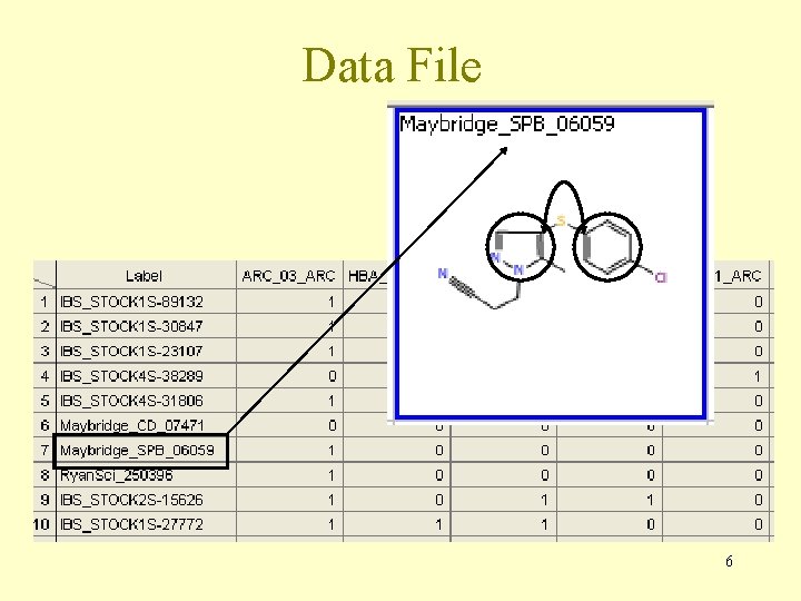 Data File 6 