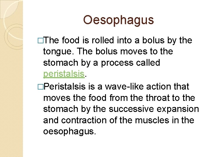 Oesophagus �The food is rolled into a bolus by the tongue. The bolus moves