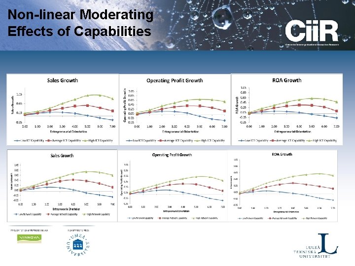 Non-linear Moderating Effects of Capabilities 