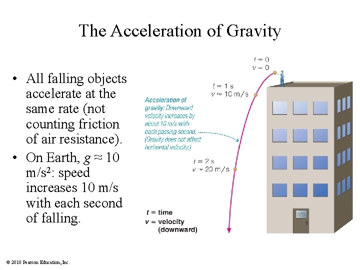 The Acceleration of Gravity • All falling objects accelerate at the same rate (not