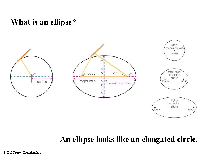 What is an ellipse? An ellipse looks like an elongated circle. © 2010 Pearson