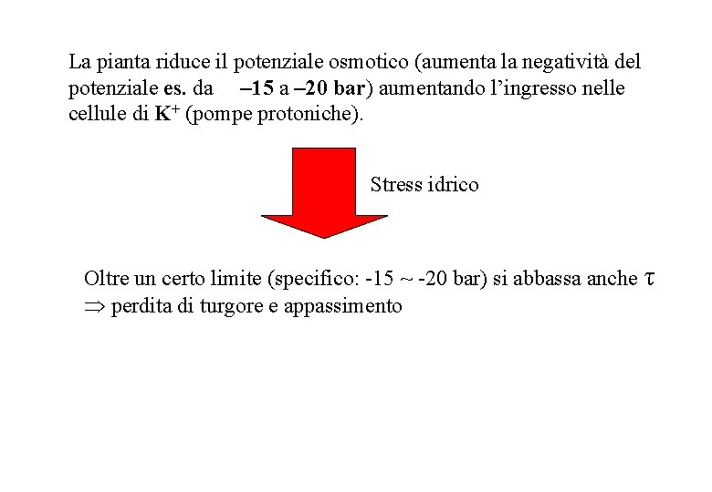 La pianta riduce il potenziale osmotico (aumenta la negatività del potenziale es. da –