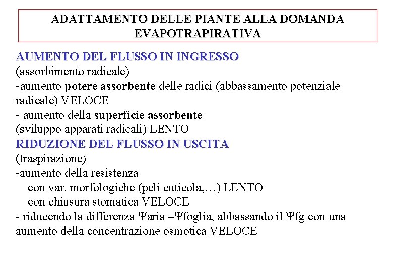 ADATTAMENTO DELLE PIANTE ALLA DOMANDA EVAPOTRAPIRATIVA AUMENTO DEL FLUSSO IN INGRESSO (assorbimento radicale) -aumento